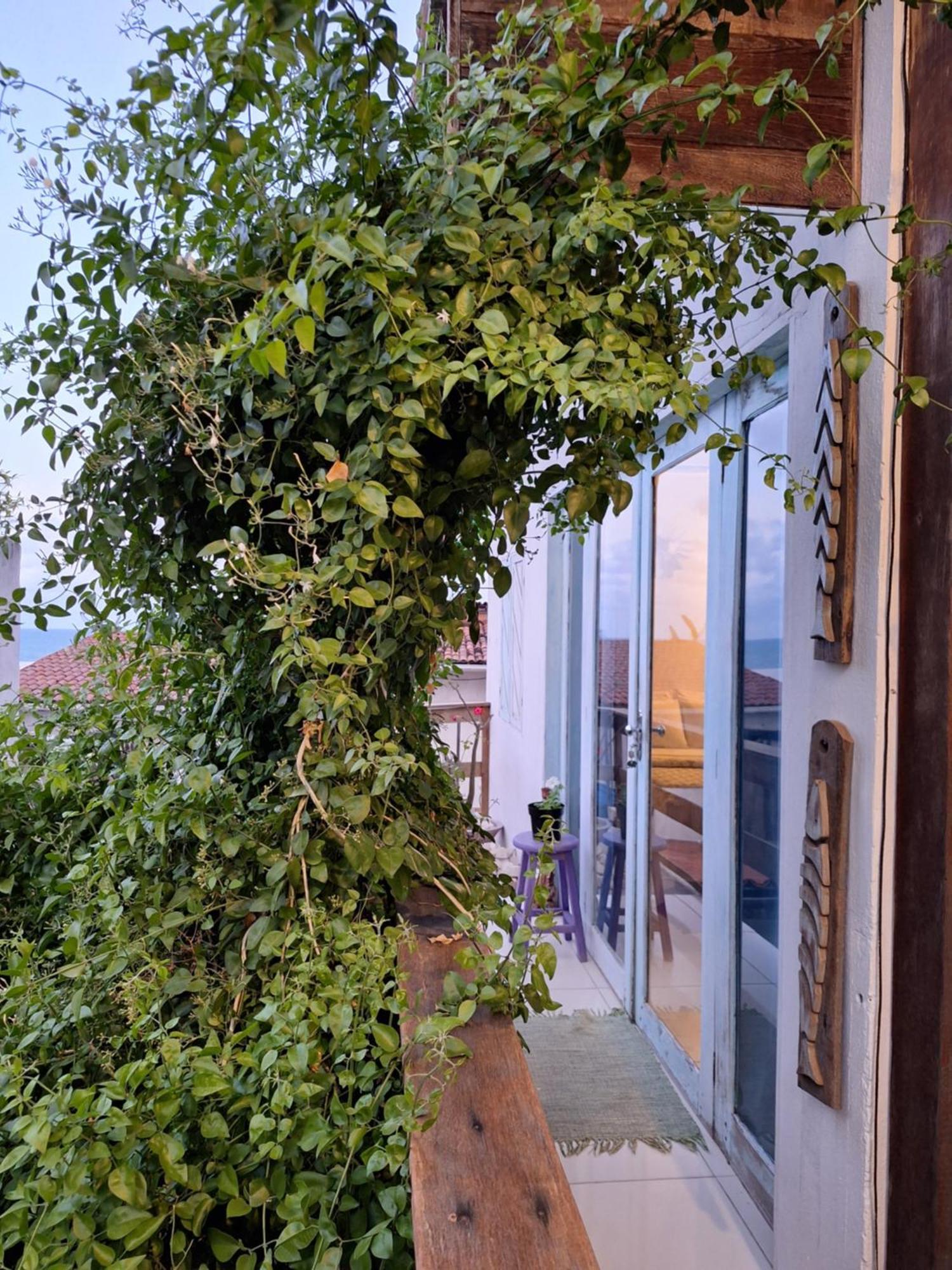 Buddha Suites Praia de Pipa المظهر الخارجي الصورة